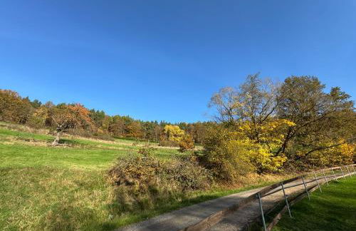 Erholung im Wald - mit Schwimmbad - Foto 33