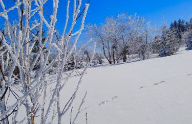 BliżejGorców - Foto 39