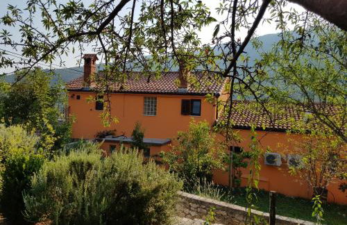 Diana Apartman - Photo 56