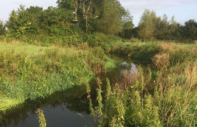 Delightful 4BD Home Full of Flair Edenbridge Kent - Foto 25