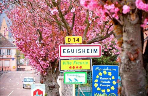 Gite Edelweiss à Eguisheim - Foto 65