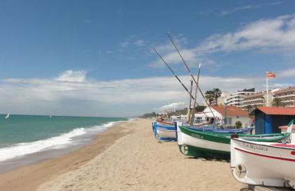 The White Lilies - Photo 19