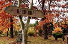 Siedlisko Gruszki Puszcza Białowieska - Foto 59