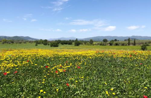 Agriturismo La Dependance - Foto 29