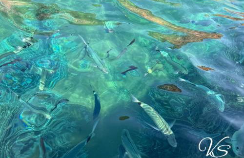 Villa Scandola - Foto 36