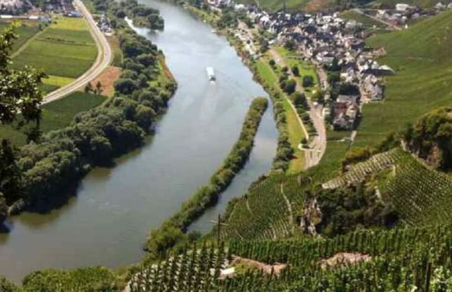 Holiday Home Vinea Comfortable Holiday Residence - Photo 19