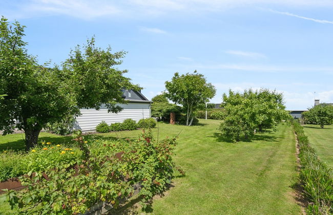 "Alona" - 90m from the sea - Foto 8