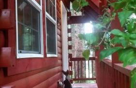 Charming A-Frame Cabin Rental on Prince of Wales Island in Hollis, Alaska - Foto 27