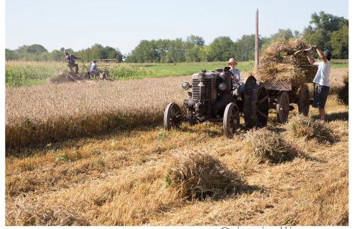 All'Antica Ruggine - Photo 26