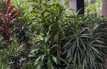 Auxiliadora melhor opção completo com garagem - Foto 35