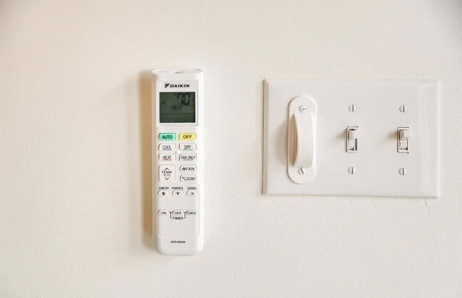 The Green Spot Studio - Foto 18