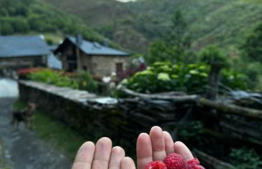 Lar da cima - Foto 71