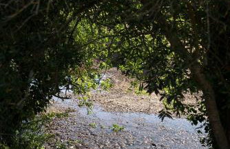 Recanto Da Ribeira Casas De Campo - Foto 30