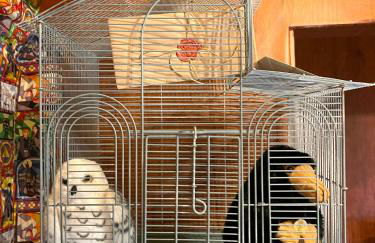 Magical Castle Near Theme Parks - Foto 63