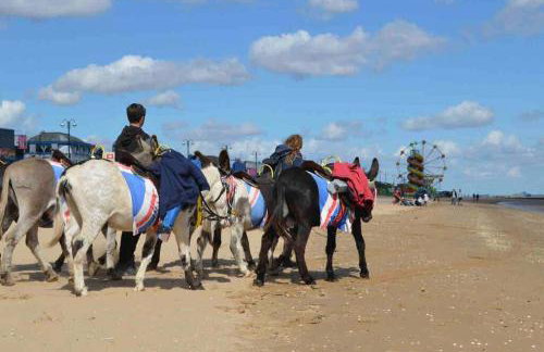 Spacious Caravan - Thorpe Park Cleethorpes - Foto 60