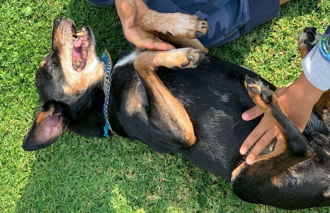 Cabañas Los Saucos - Foto 43