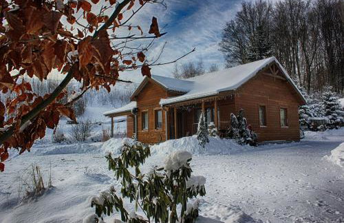 Apartamenty w Dolinie Gościna - Foto 54