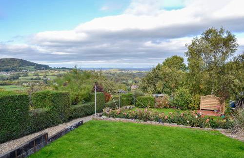 Zonnebloem - Foto 28