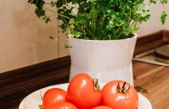 Gemütliche FeWo mit Balkon - Photo 8