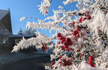 Ponyhof Adam Urlaub auf dem Bauernhof - Foto 74