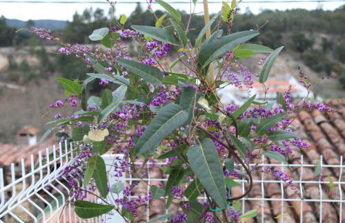 Amiais River Beach House - Foto 47