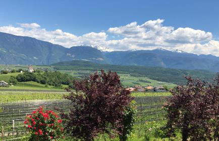 DAS MATSCHER Residence & Garden Hotel - Foto 64