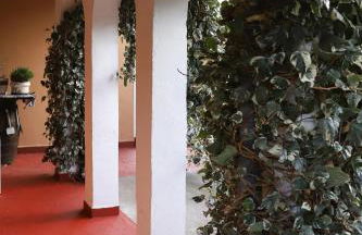 Casa los Arcos - Foto 8