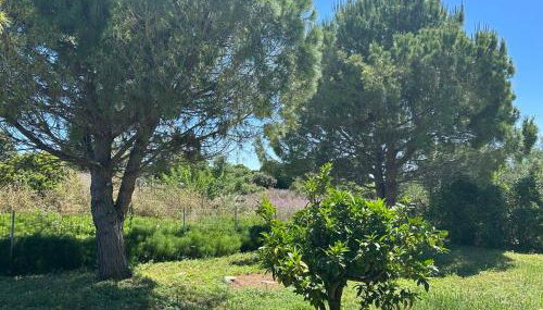 Tiny Comfort House - Foto 3