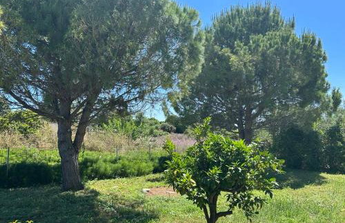 Tiny Comfort House - Foto 3