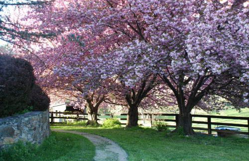 Villa Maud - Foto 39