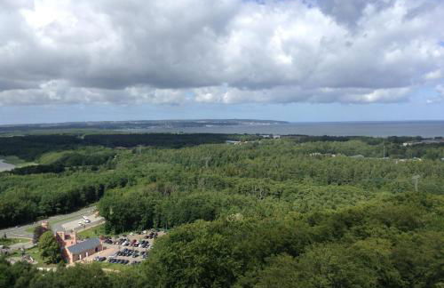 Ferienwohnung Boddenblick - Foto 16