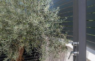 Lulani Soline Pool Apartment - Photo 9