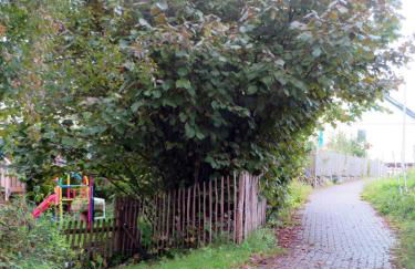 Sonnige Fachwerkwohnung - Foto 38