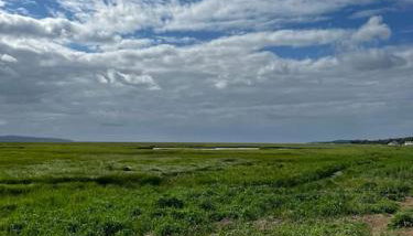 Quay Cottage - Foto 5