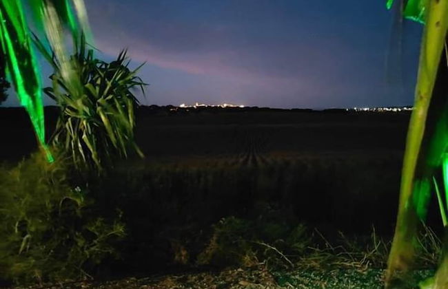 Agroturismo Herdade Fonte Ferreira - Foto 41