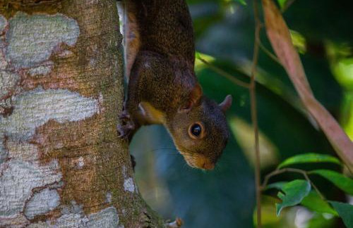 Casa do Carlos, praia da Enseada Ubatuba-SP - Foto 29