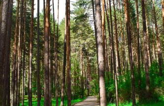 Alojamiento Rural El Morenal - Foto 33