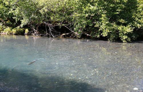 Secluded Waterfront Cottage Rental near Anchorage, Alaska - Foto 10