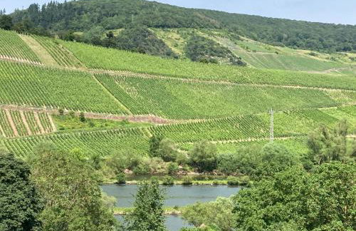 Burgblick Pünderich - Foto 37