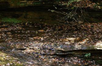 Modern Mirror Home w/ Hot-tub - “Glass House” #1 - Foto 36