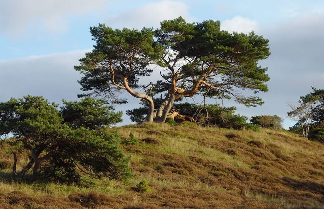 Chic Holiday Home in Hovedstaden near Sea - Foto 26