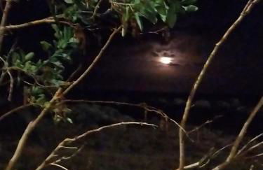 Casa Omaira y Nacho - Foto 56