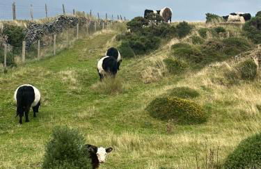 Doray Townhouse - Okehampton - Foto 13