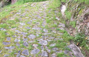 Casa do Volfrâmio - Foto 41