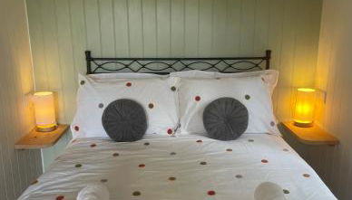 Pwllglas Bach - Spacious Cabin - Photo 4