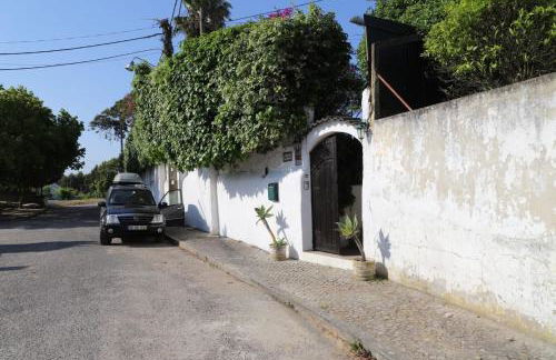 Villa Casa das Palmeiras - Foto 31