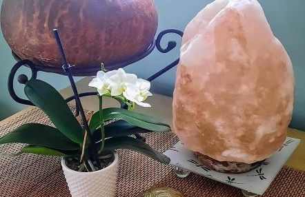 The Perfect Wine Trails Location - The Garden Suite - Foto 8