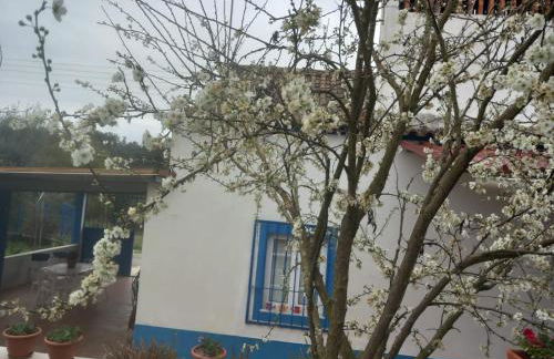 CASA DA ALDEIA - Ponte de Sor (Alentejo) - Foto 11