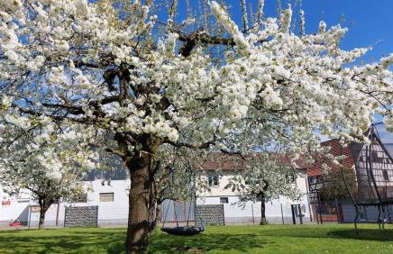 Ferienwohnung Zur Hofreite Fewo 5 - Foto 43