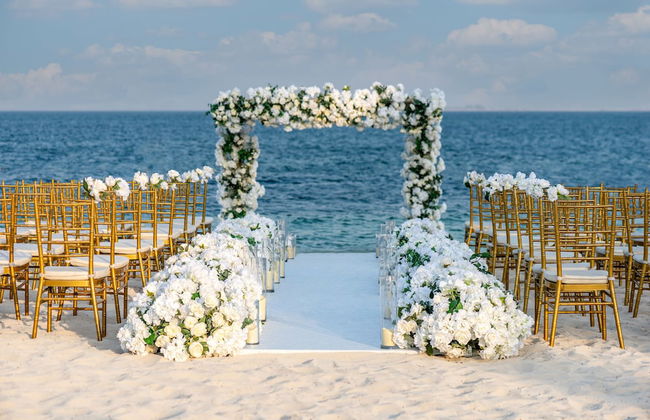 Al Maya Island & Resort - Photo 30